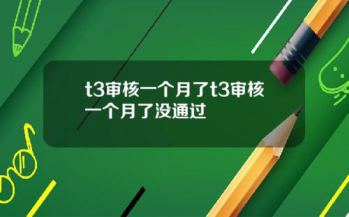 t3审核一个月了t3审核一个月了没通过