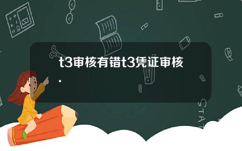 t3审核有错t3凭证审核.