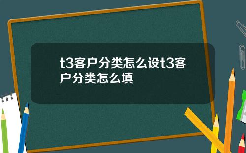 t3客户分类怎么设t3客户分类怎么填