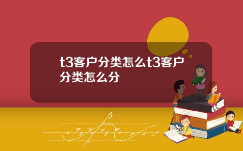 t3客户分类怎么t3客户分类怎么分