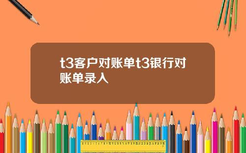 t3客户对账单t3银行对账单录入