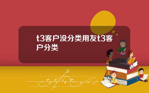 t3客户没分类用友t3客户分类