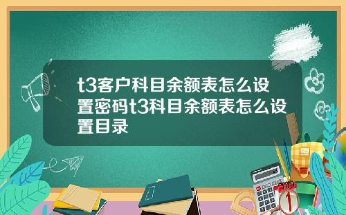 t3客户科目余额表怎么设置密码t3科目余额表怎么设置目录