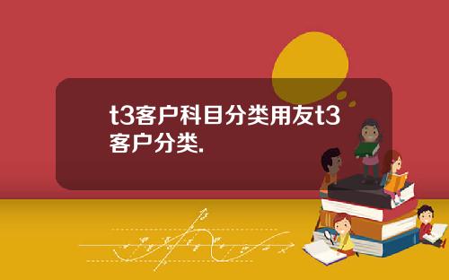 t3客户科目分类用友t3客户分类.