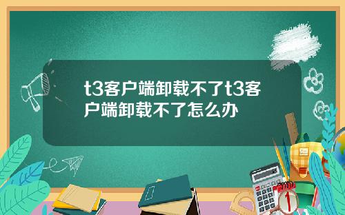 t3客户端卸载不了t3客户端卸载不了怎么办