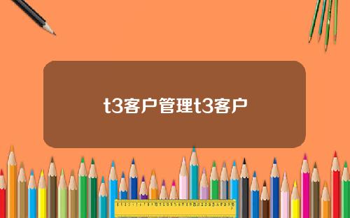 t3客户管理t3客户