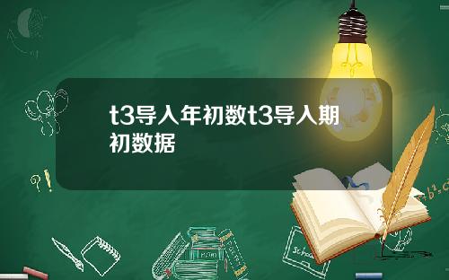 t3导入年初数t3导入期初数据