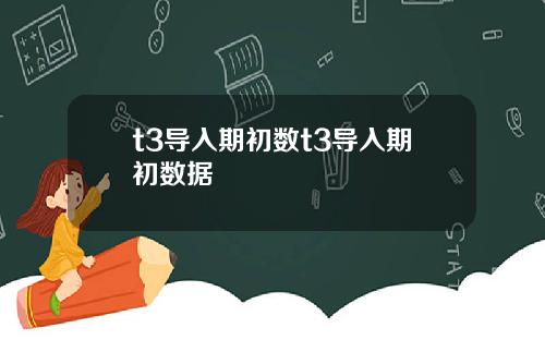 t3导入期初数t3导入期初数据