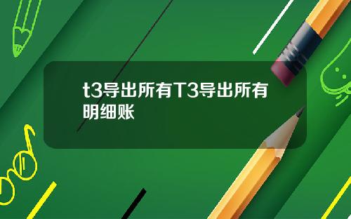 t3导出所有T3导出所有明细账