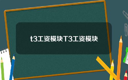 t3工资模块T3工资模块
