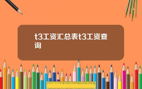 t3工资汇总表t3工资查询