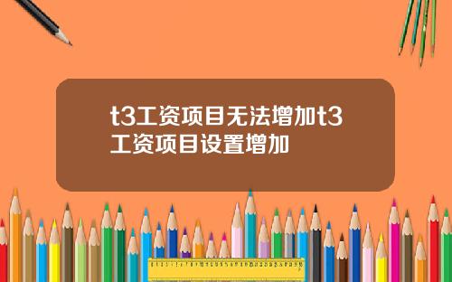 t3工资项目无法增加t3工资项目设置增加