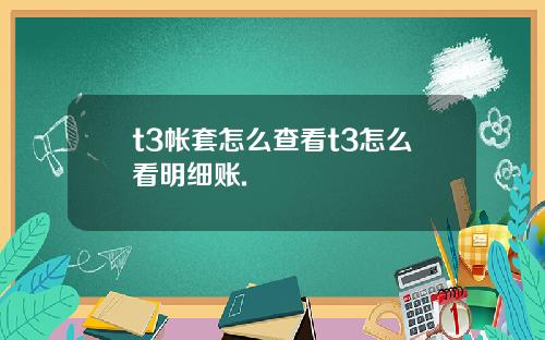 t3帐套怎么查看t3怎么看明细账.