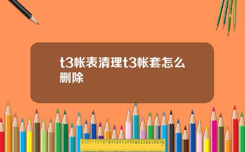 t3帐表清理t3帐套怎么删除