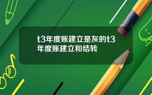 t3年度账建立是灰的t3年度账建立和结转