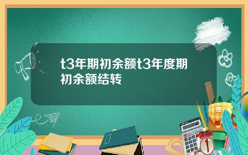 t3年期初余额t3年度期初余额结转