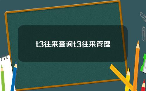 t3往来查询t3往来管理
