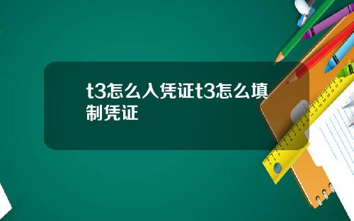t3怎么入凭证t3怎么填制凭证
