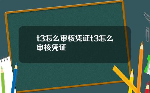 t3怎么审核凭证t3怎么审核凭证