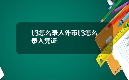 t3怎么录入外币t3怎么录入凭证