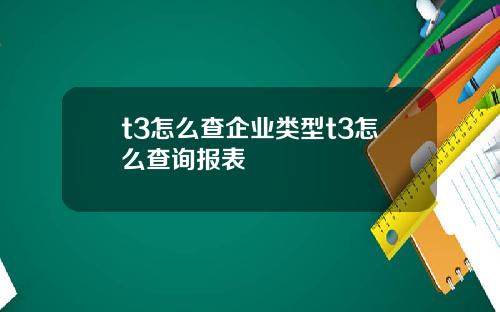 t3怎么查企业类型t3怎么查询报表