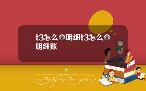 t3怎么查明细t3怎么查明细账