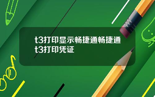 t3打印显示畅捷通畅捷通t3打印凭证