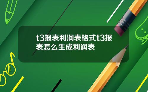 t3报表利润表格式t3报表怎么生成利润表
