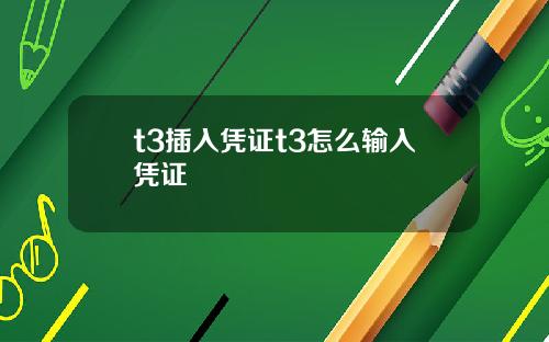 t3插入凭证t3怎么输入凭证