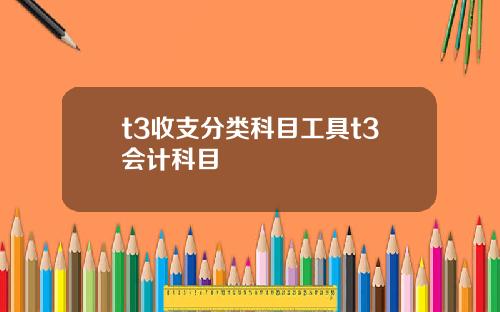 t3收支分类科目工具t3会计科目