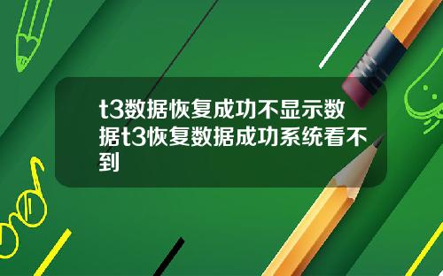 t3数据恢复成功不显示数据t3恢复数据成功系统看不到