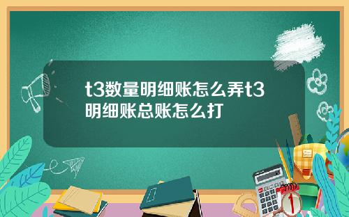 t3数量明细账怎么弄t3明细账总账怎么打