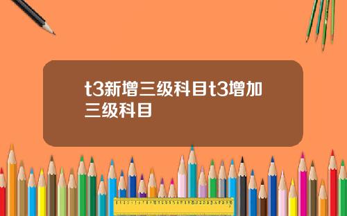 t3新增三级科目t3增加三级科目