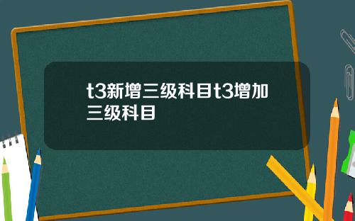 t3新增三级科目t3增加三级科目