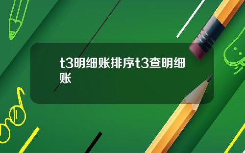 t3明细账排序t3查明细账