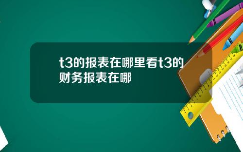 t3的报表在哪里看t3的财务报表在哪