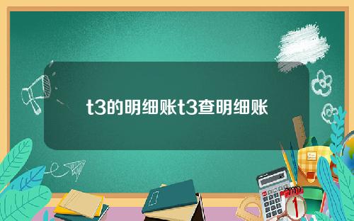 t3的明细账t3查明细账