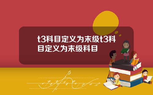 t3科目定义为末级t3科目定义为末级科目