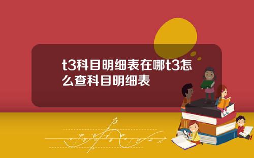 t3科目明细表在哪t3怎么查科目明细表