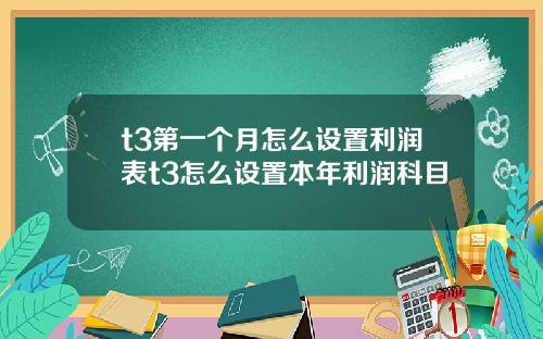 t3第一个月怎么设置利润表t3怎么设置本年利润科目