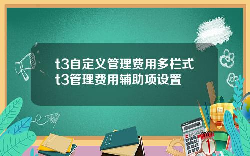 t3自定义管理费用多栏式t3管理费用辅助项设置