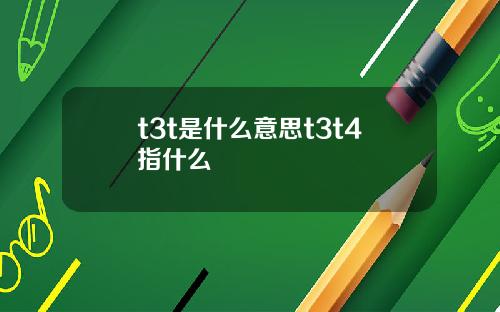 t3t是什么意思t3t4指什么