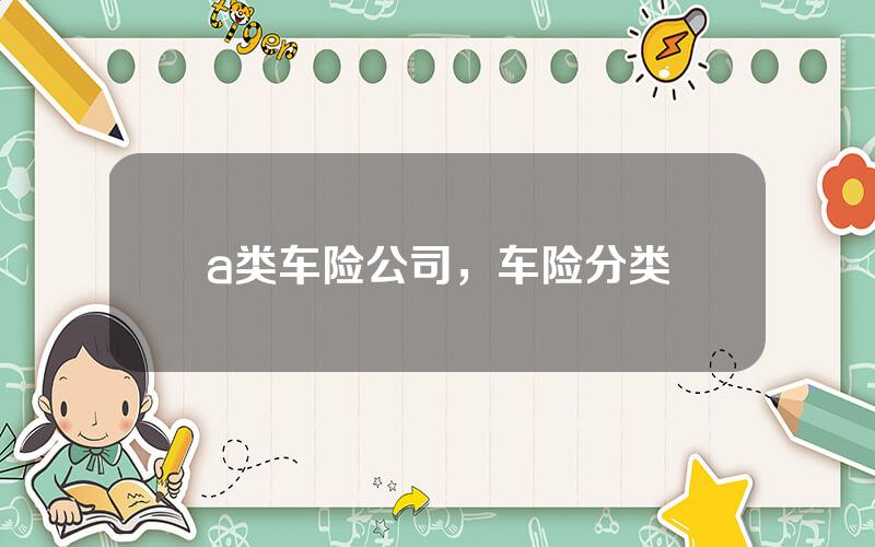 a类车险公司，车险分类