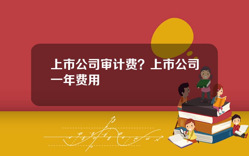 上市公司审计费？上市公司一年费用