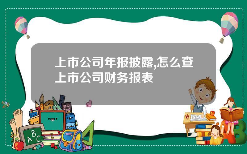上市公司年报披露,怎么查上市公司财务报表