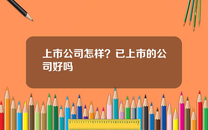 上市公司怎样？已上市的公司好吗