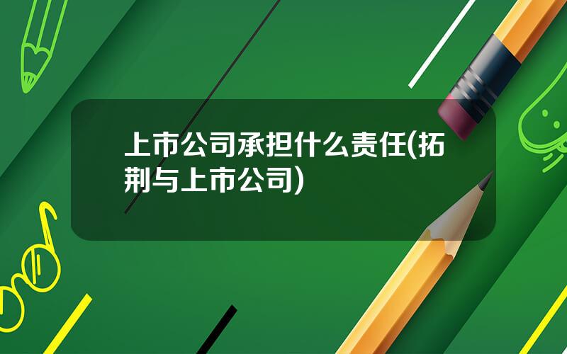 上市公司承担什么责任(拓荆与上市公司)