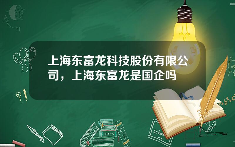 上海东富龙科技股份有限公司，上海东富龙是国企吗