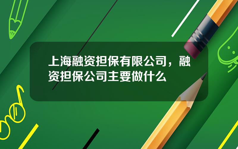 上海融资担保有限公司，融资担保公司主要做什么