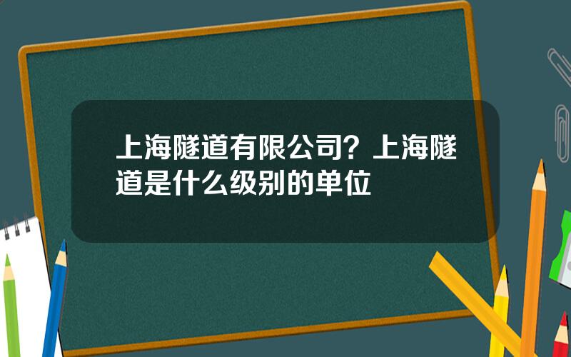 上海隧道有限公司？上海隧道是什么级别的单位